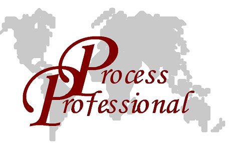 Process Professional Assesser